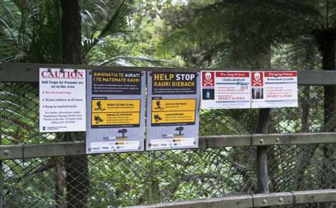 Watch out for signs in public spaces that describe what has been used - watch out for rat bait