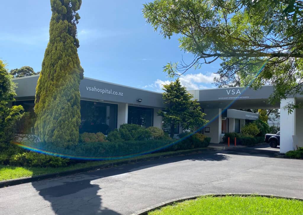 Home Animal Emergency